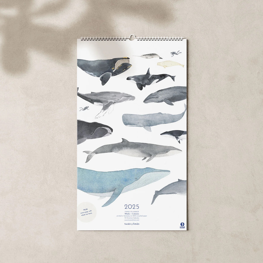 2025 family calendar showcasing whale illustrations, offering creative organization ideas for family schedules and activities.