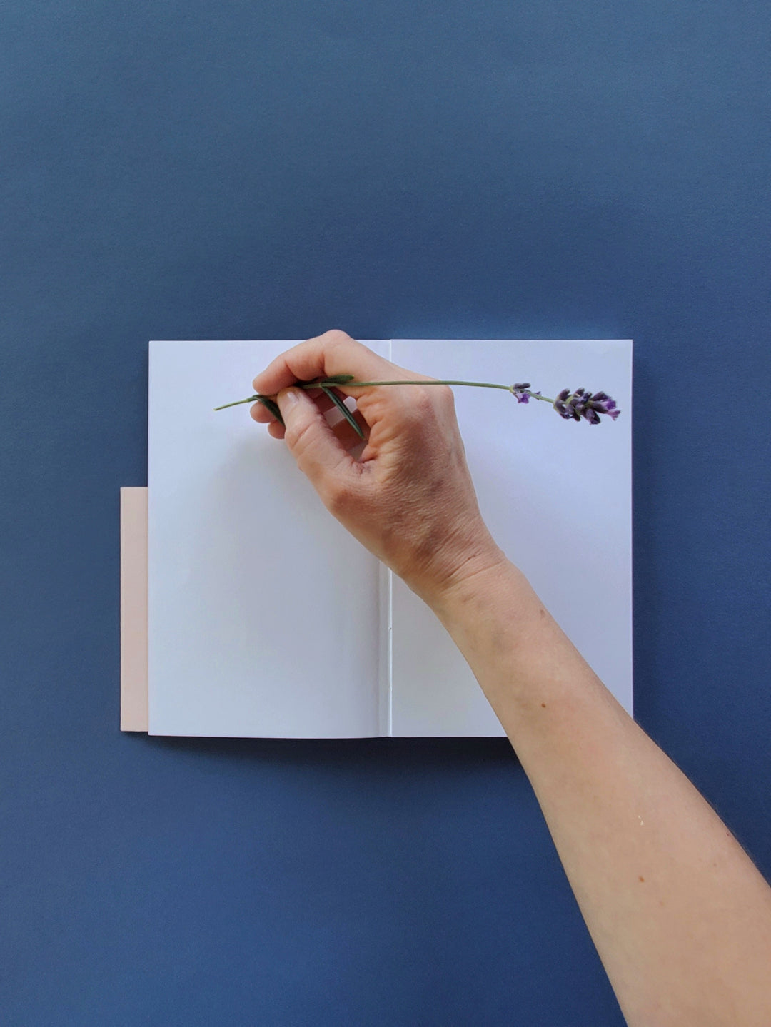 *Notizbuch Nola* by in love with paper