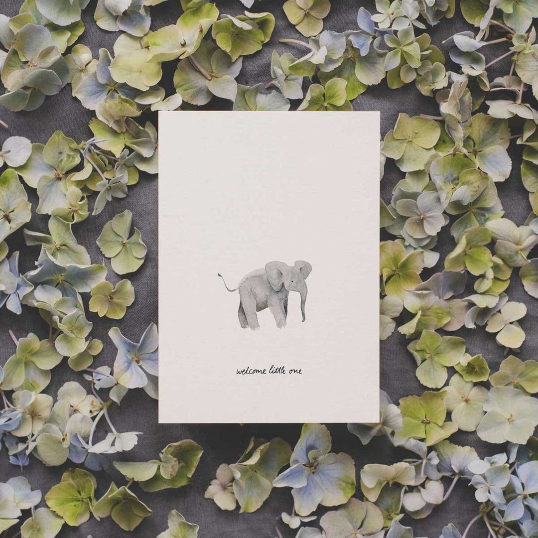 Postcard: Baby Elephant - welcome little one | Túcan y limón