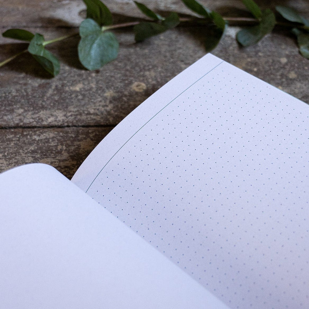 Dotted paper