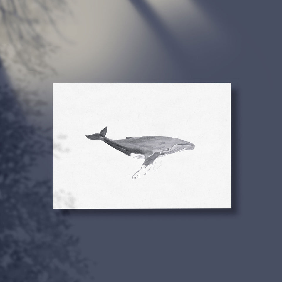 Greeting card "humpback whale" / túcan y limón